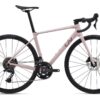 Liv Langma Advanced 3 Rosy Brown - Rennrad.jpg
