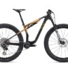Liv Pique Adv. SL 0 Raw Carbon-Steampunk.jpg