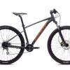 Giant Talon 3 black chrome.jpg