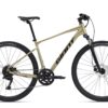 Giant Roam Disc 2 Bay Leaf - Crossbike.jpg
